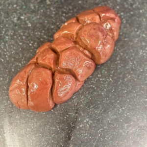 Ox Kidney