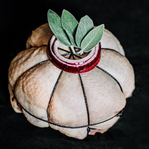 Barn Reared Chicken Cushion